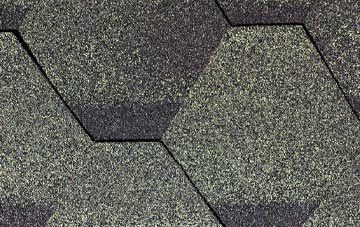 Higher Halstock Leigh fibreglass shingle repairs