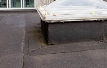 disadvantages of Higher Halstock Leigh flat roofs