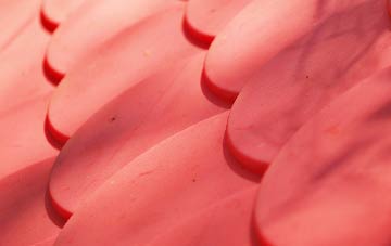 Higher Halstock Leigh plastic roof costs