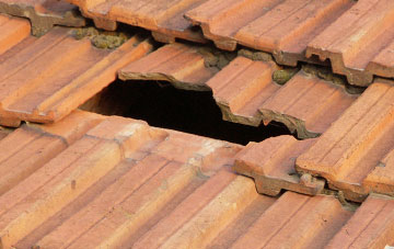 roof repair Higher Halstock Leigh, Dorset