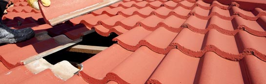 compare Higher Halstock Leigh roof repair quotes