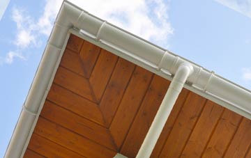 Higher Halstock Leigh soffit types