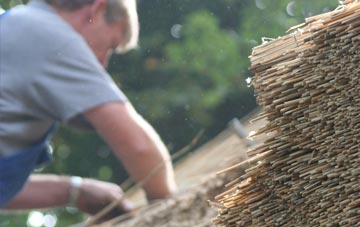 professional Higher Halstock Leigh thatchers