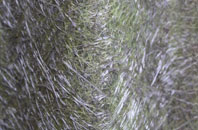 Higher Halstock Leigh fibreglass roof work